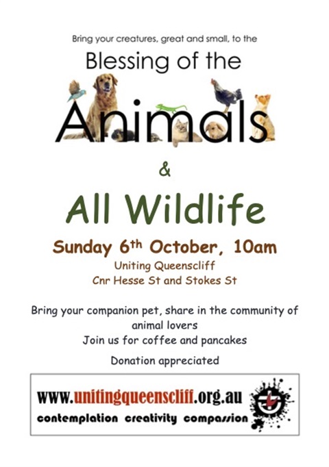 Blessing of the Animals & All Wildlife