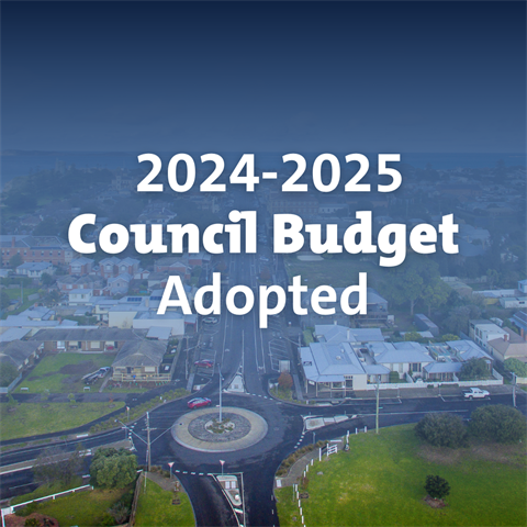 Council-Budget.png